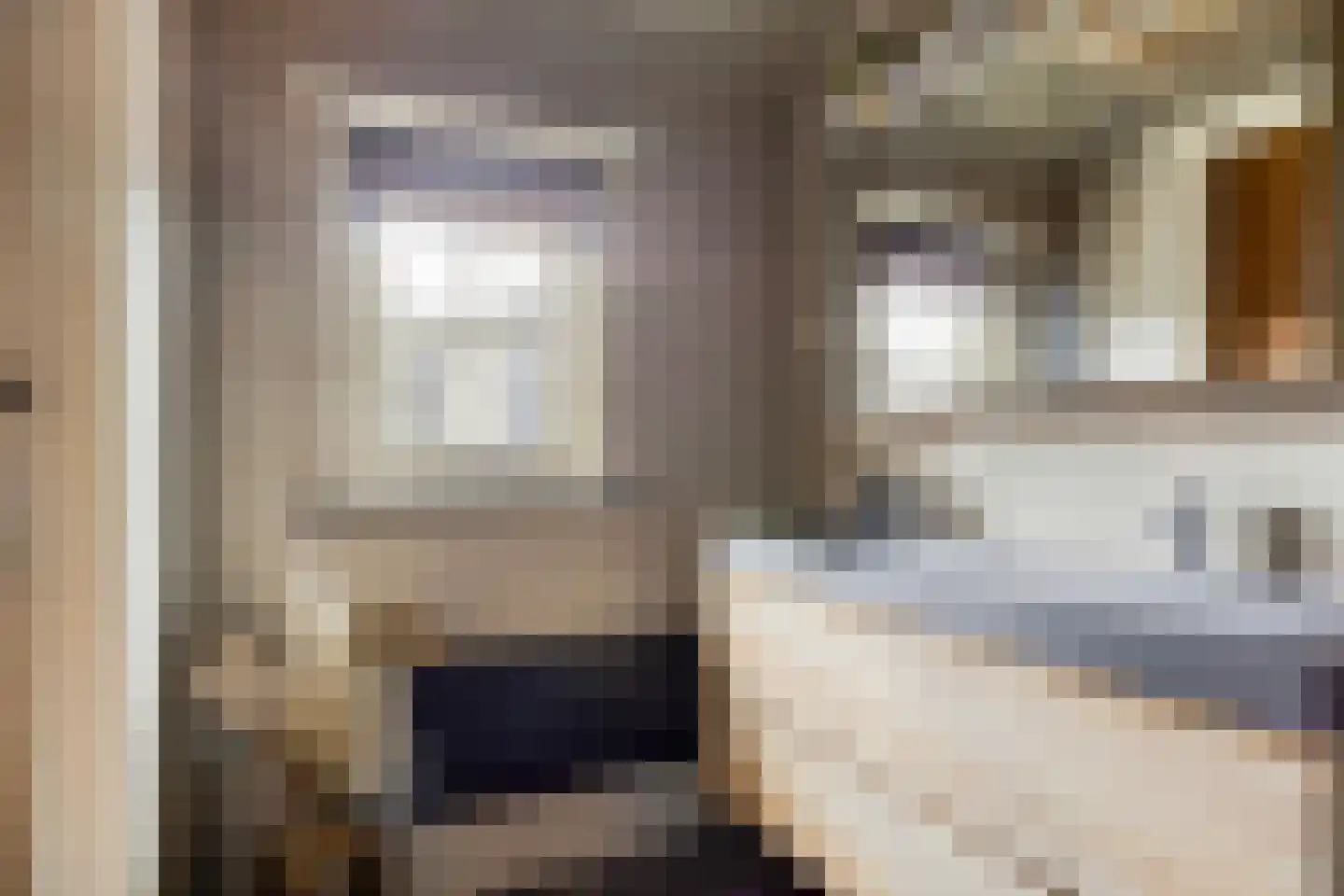 Julianastraat 20 Dongen thumbnail 15