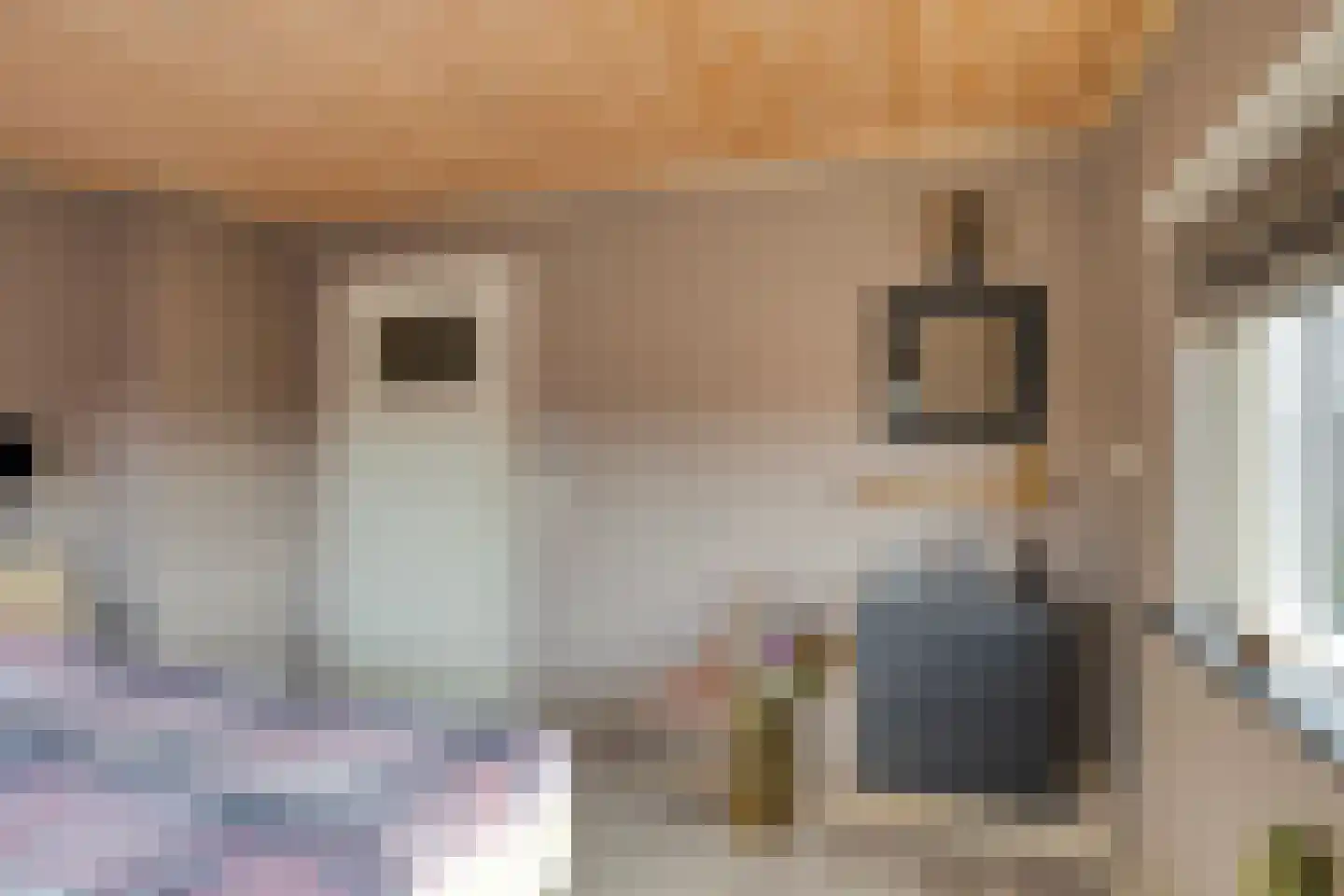 Julianastraat 20 Dongen thumbnail 24