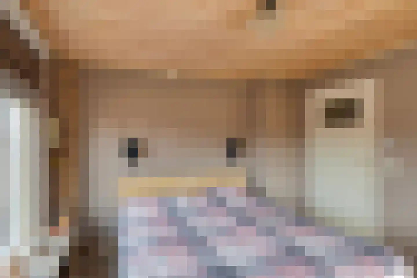 Julianastraat 20 Dongen thumbnail 25