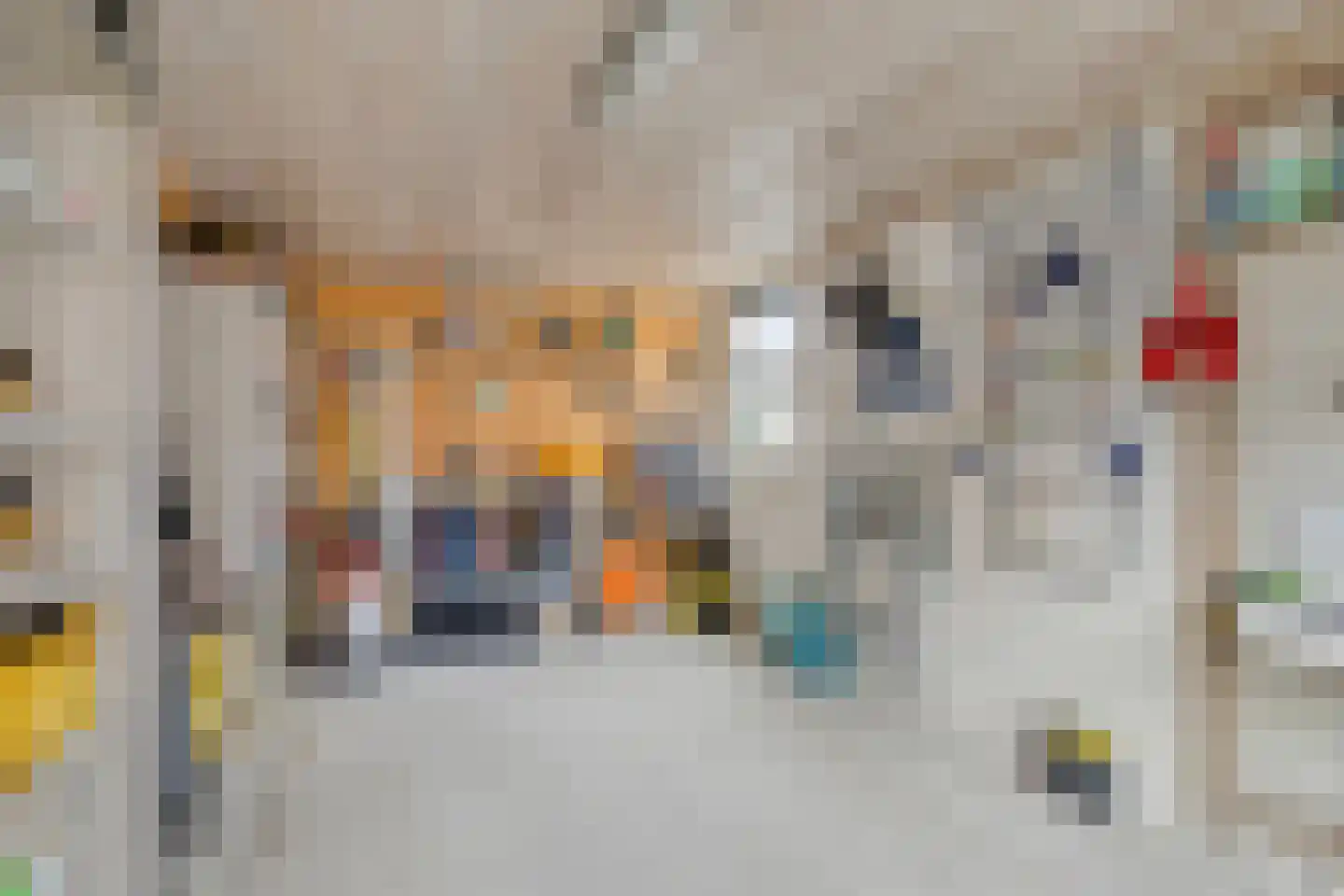 Julianastraat 20 Dongen thumbnail 35