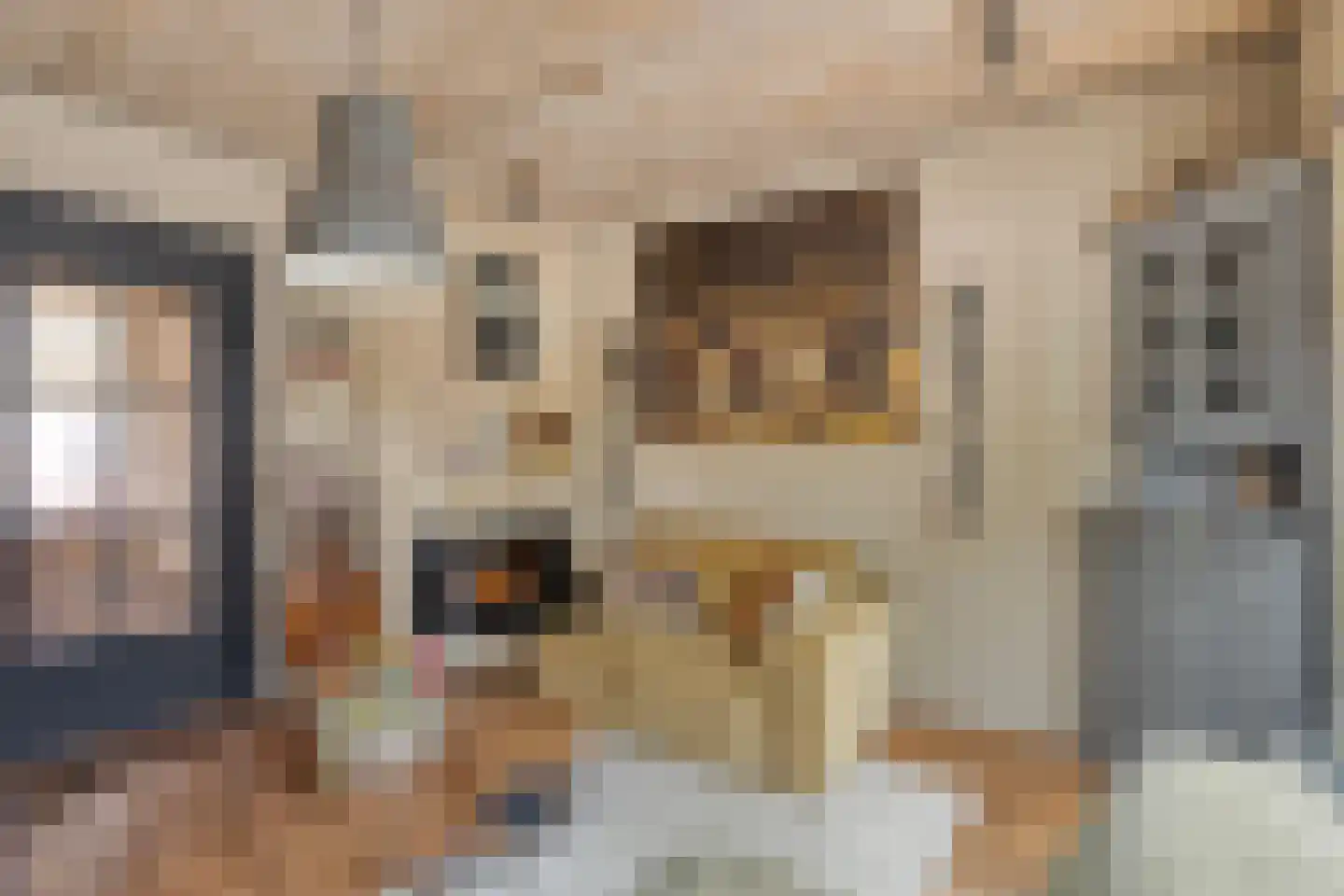Julianastraat 20 Dongen thumbnail 8