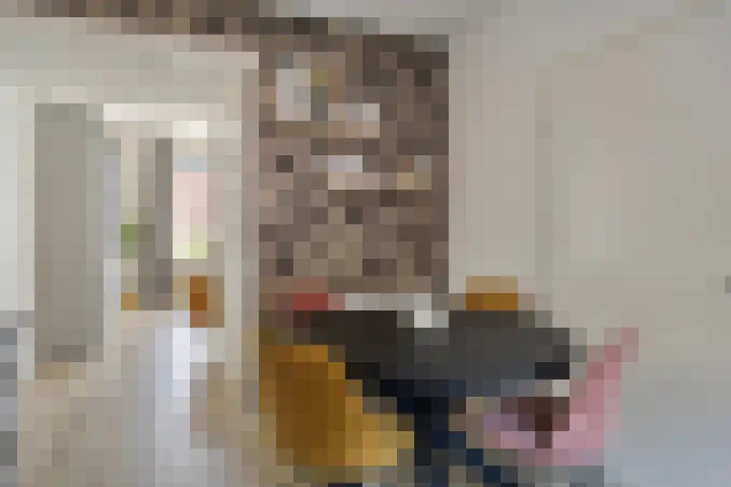 Julianastraat 20 Heinkenszand thumbnail 16