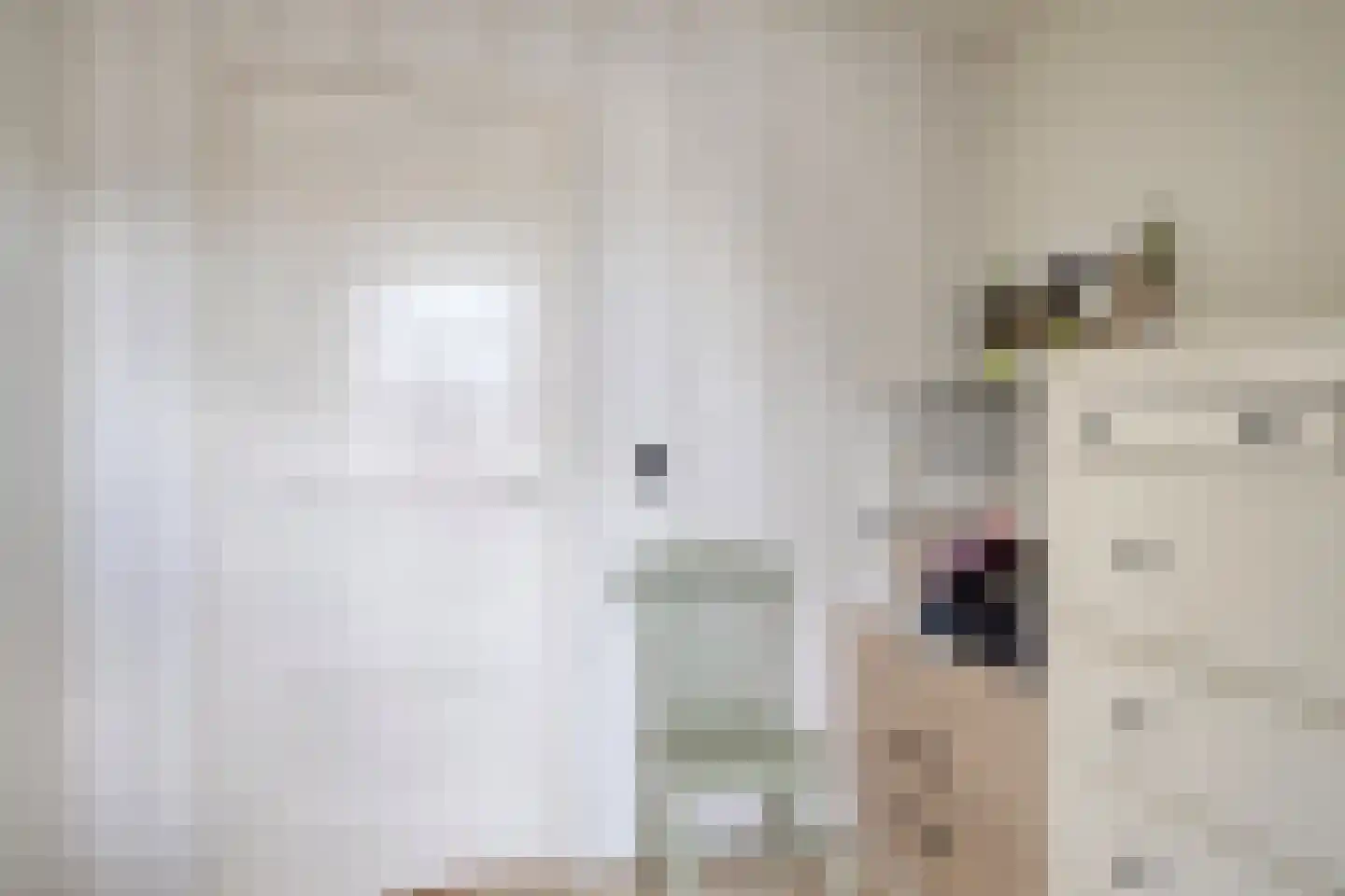 Julianastraat 20 Heinkenszand thumbnail 30