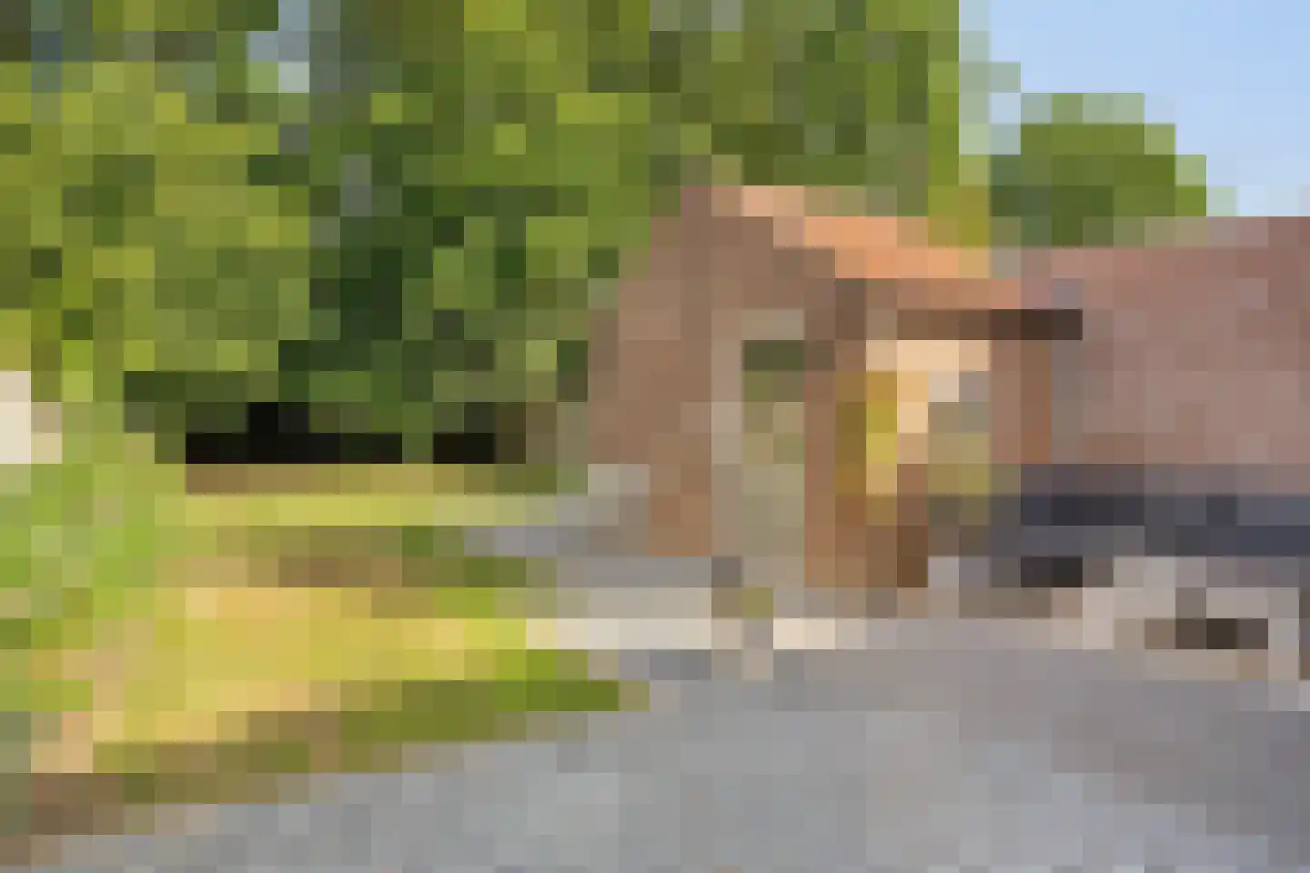 Julianastraat 20 Heinkenszand thumbnail 31