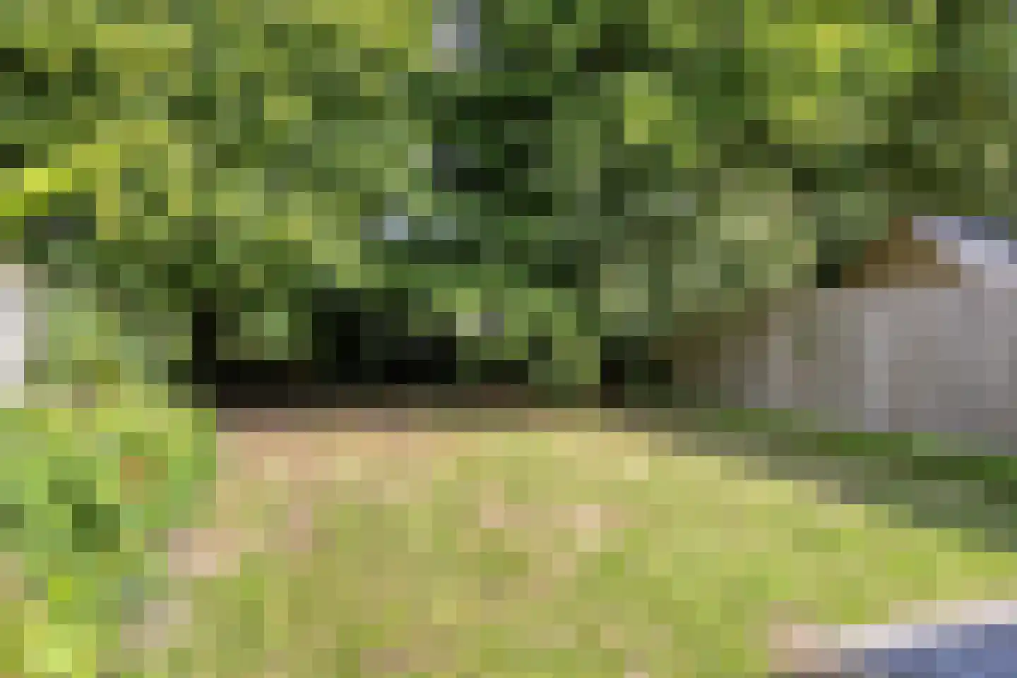 Julianastraat 20 Heinkenszand thumbnail 33