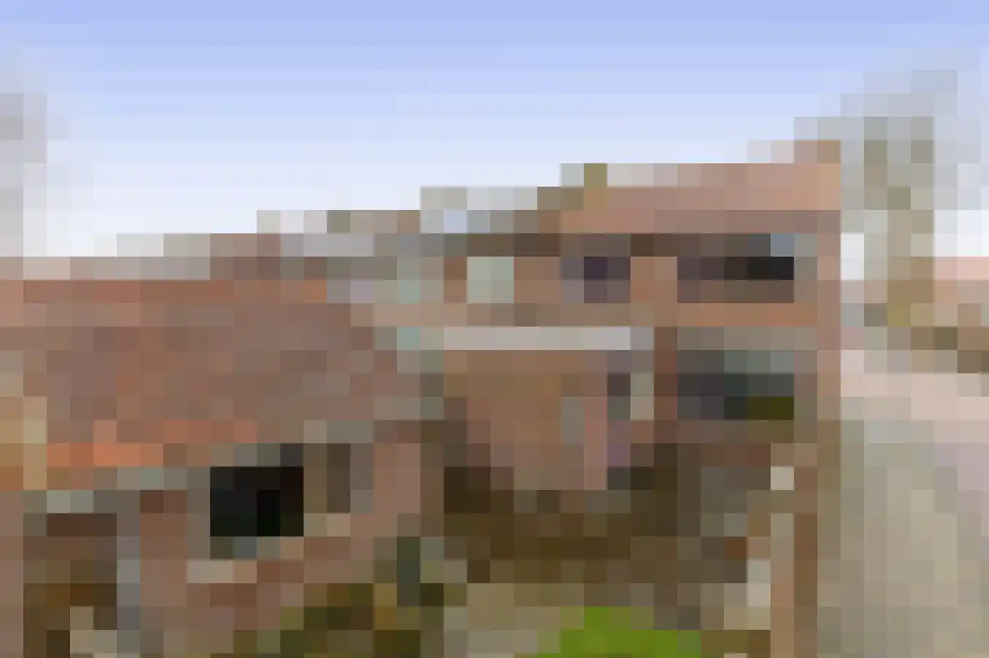 Julianastraat 20 Oude-Tonge thumbnail 25