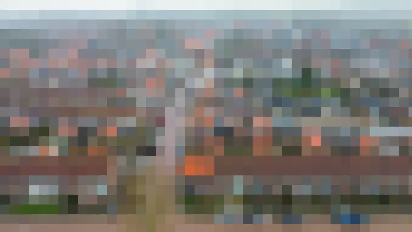 Julianastraat 20 Oude-Tonge thumbnail 27