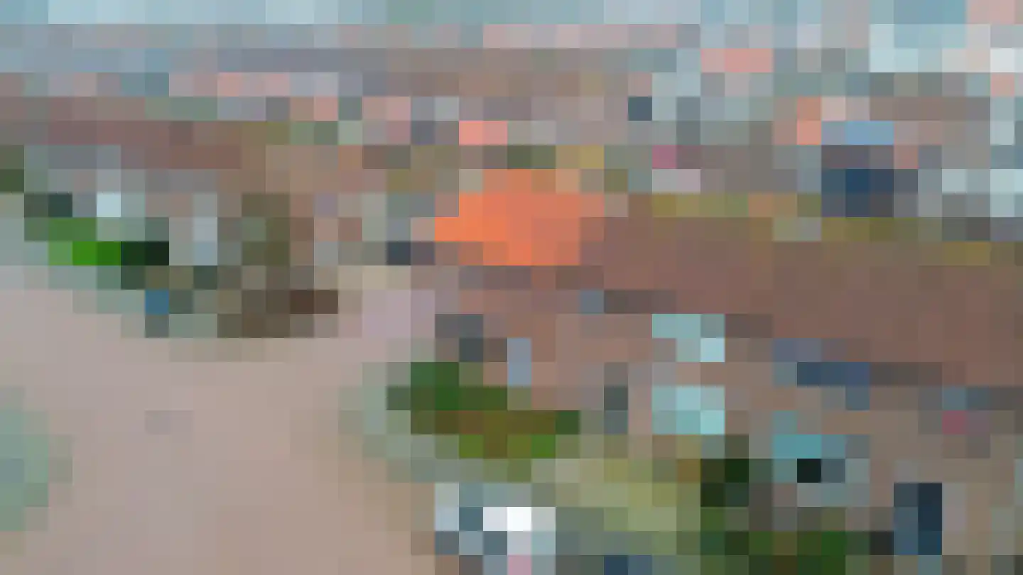 Julianastraat 20 Oude-Tonge thumbnail 29