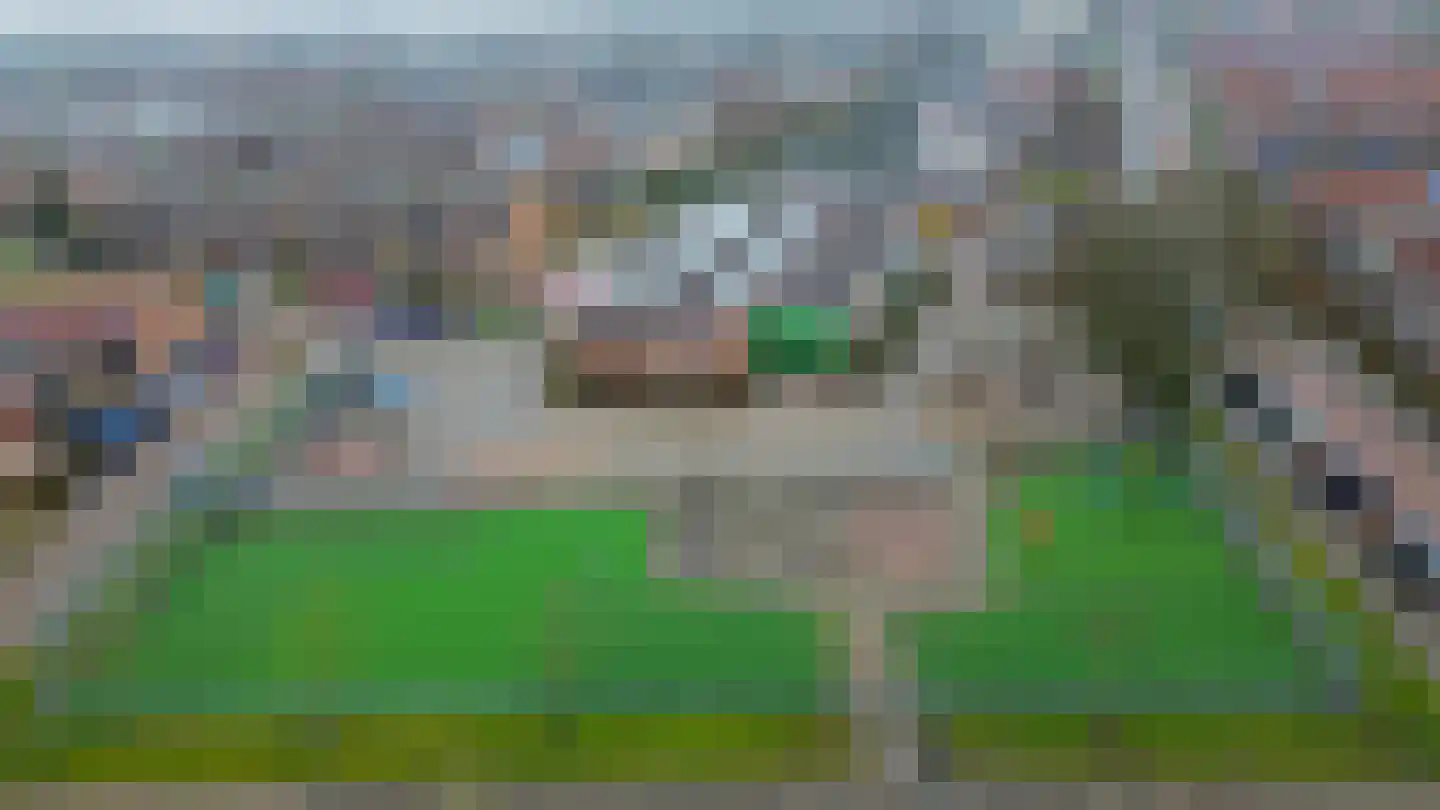 Julianastraat 20 Oude-Tonge thumbnail 30