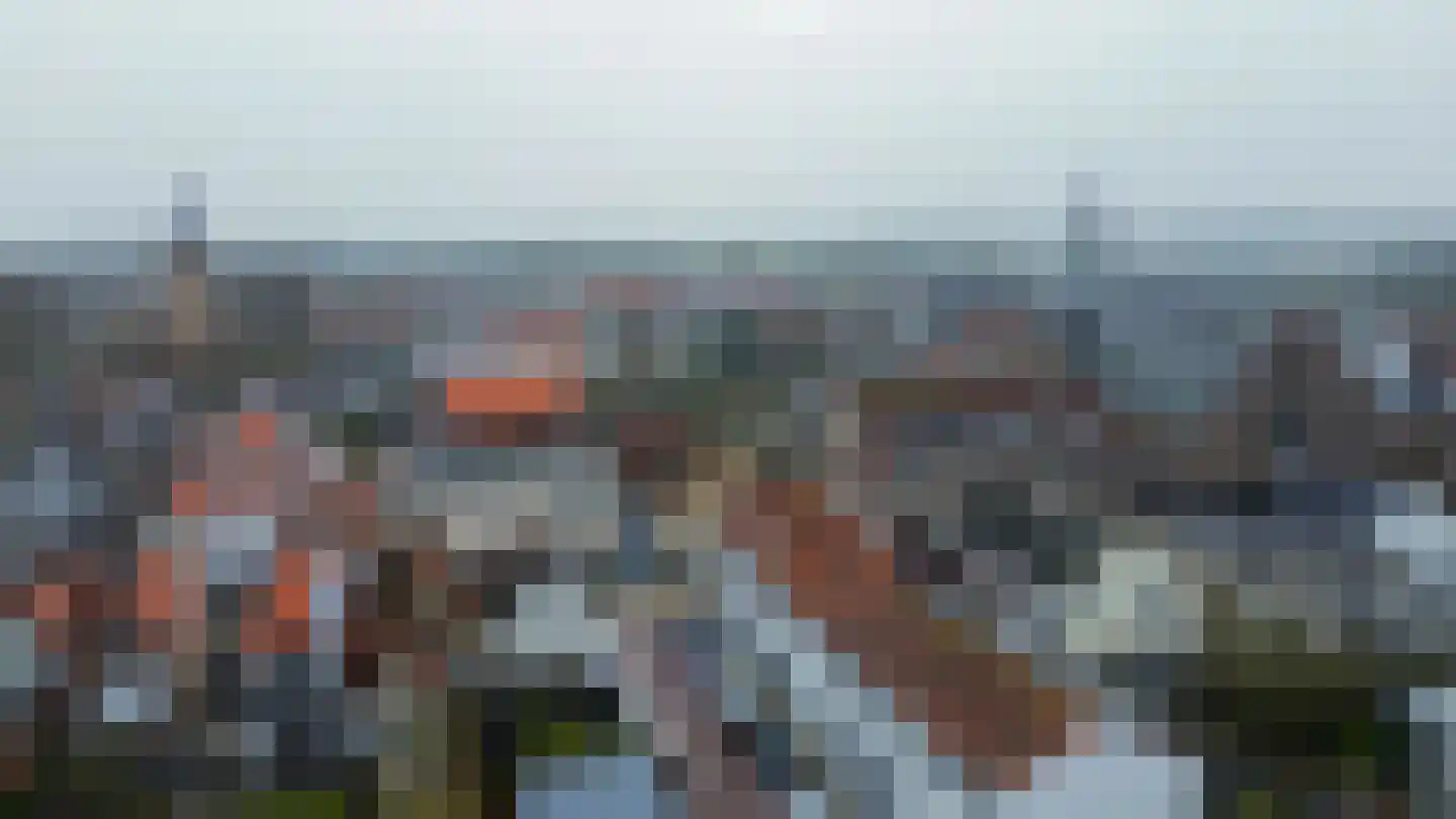 Julianastraat 20 Oude-Tonge thumbnail 31