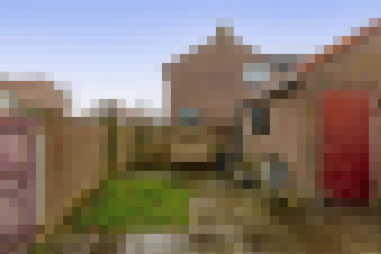 Julianastraat 20 Oude-Tonge thumbnail 4