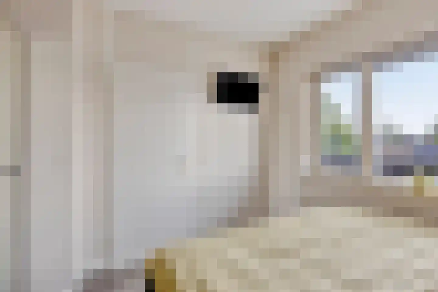 Julianastraat 20 Sint-Oedenrode thumbnail 30