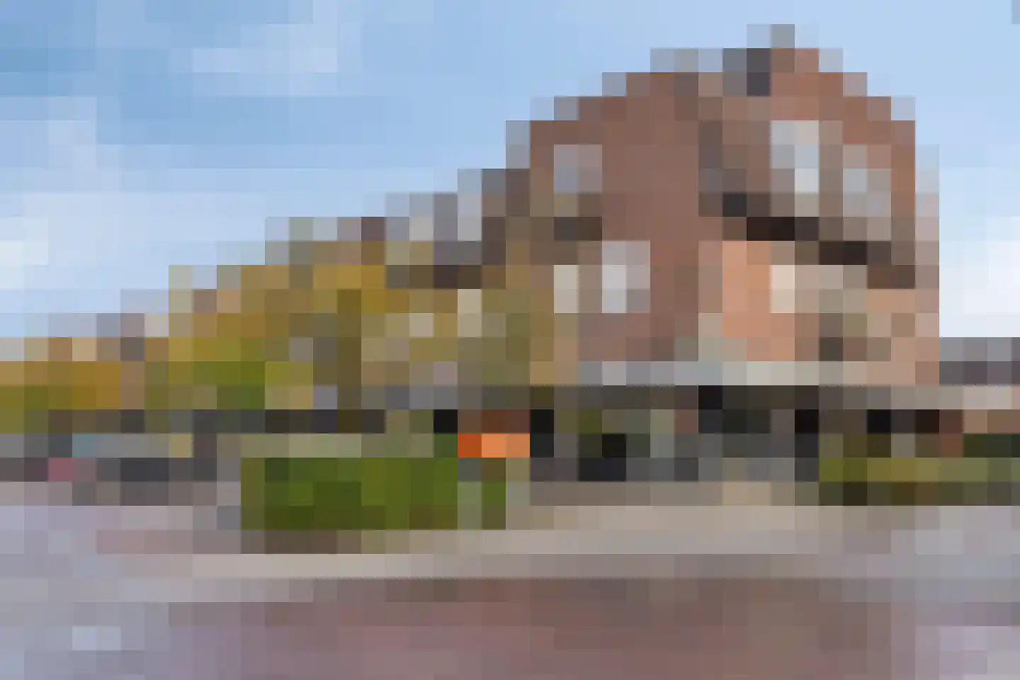 Julianastraat 20 Sint-Oedenrode thumbnail 36