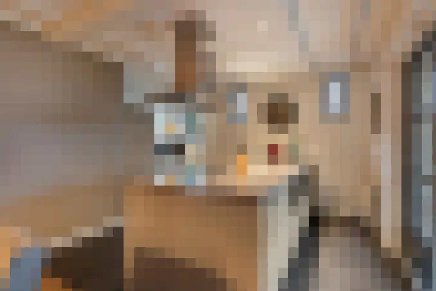 Julianastraat 20 Steenbergen thumbnail 18