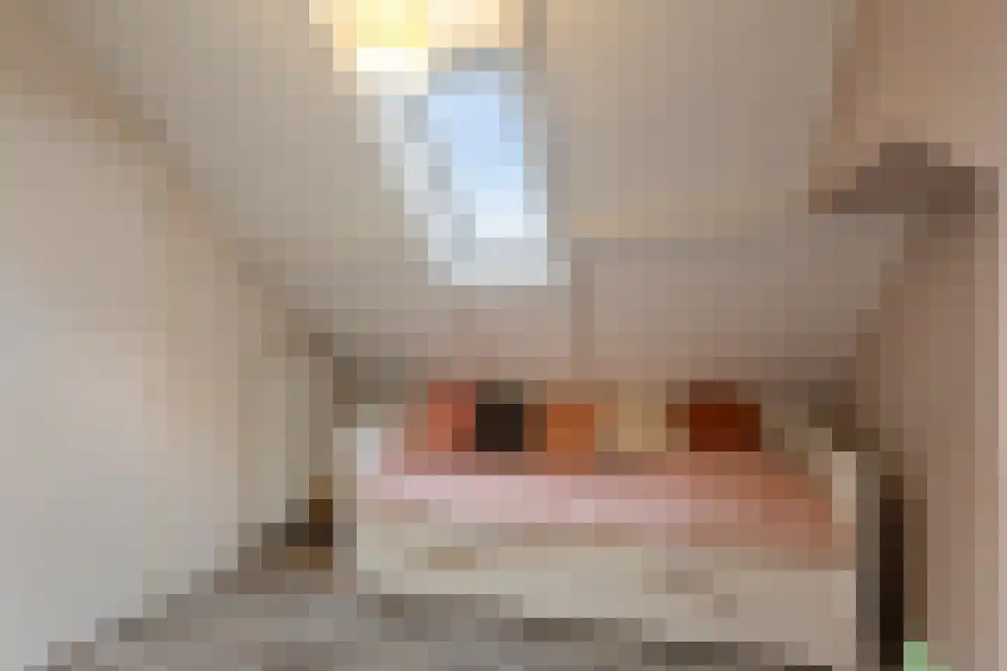 Julianastraat 20 Steenbergen thumbnail 35