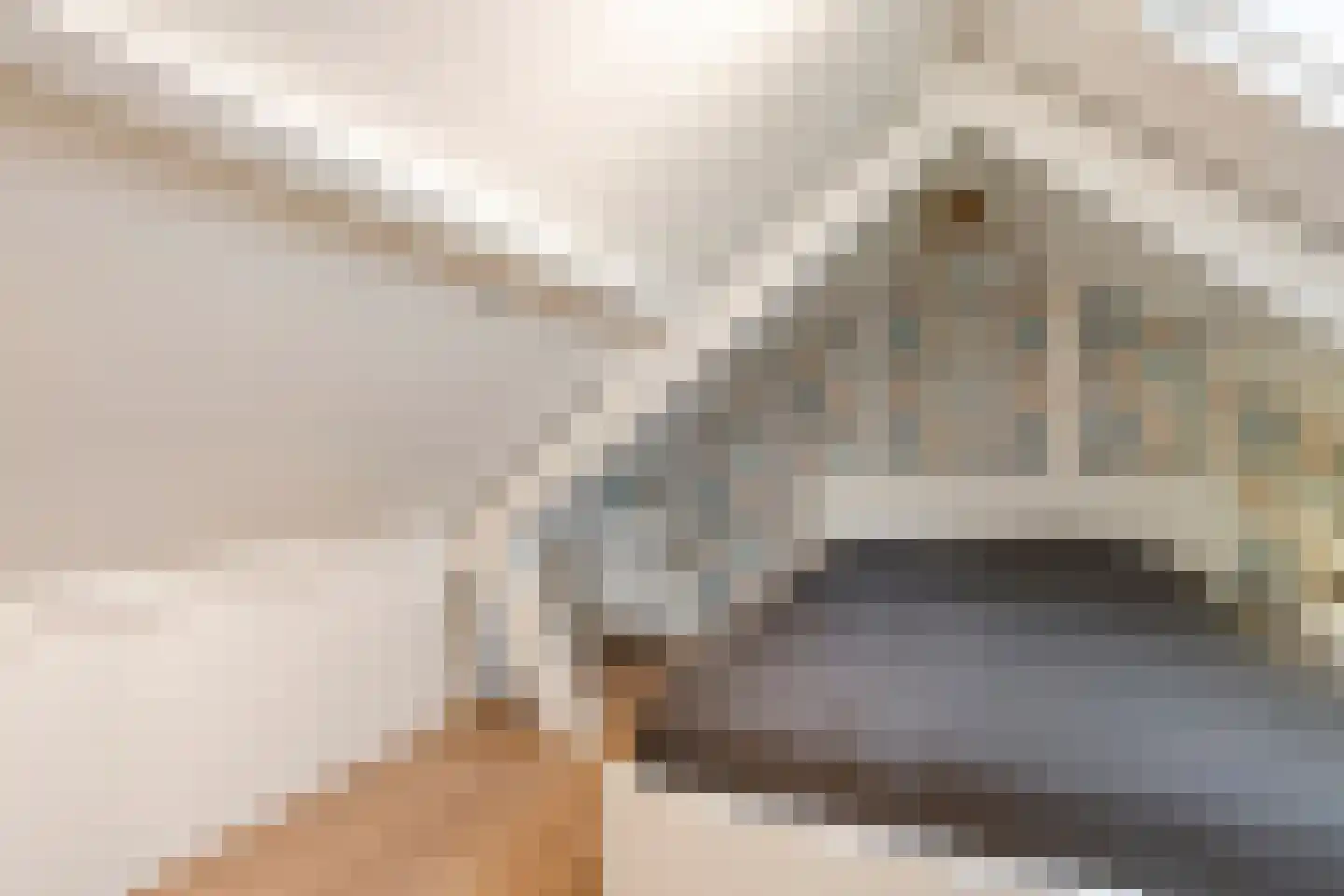 Julianastraat 20 Steenbergen thumbnail 36