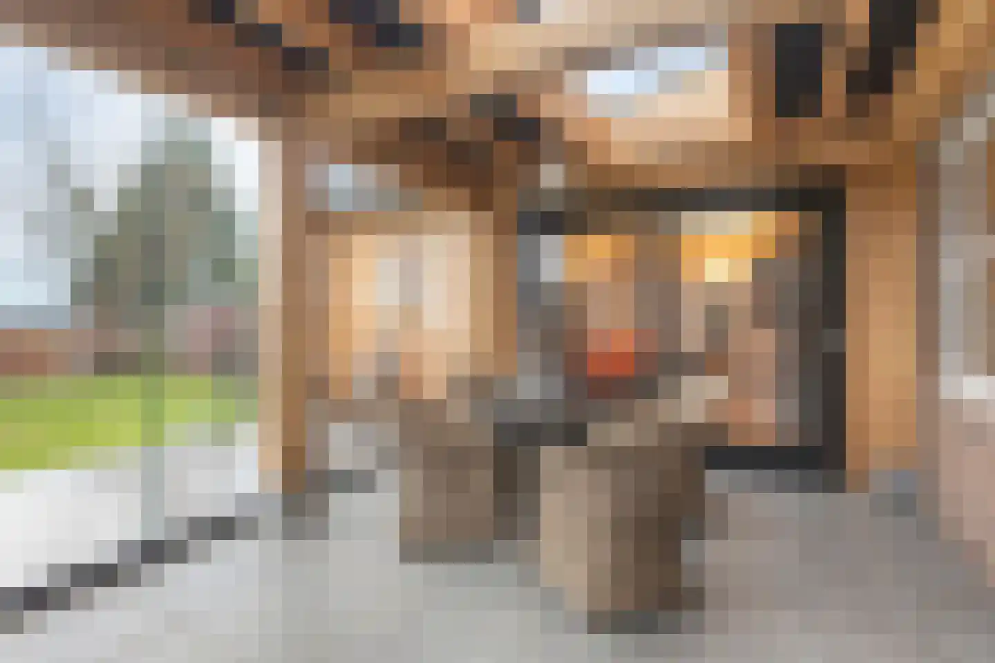 Julianastraat 20 Steenbergen thumbnail 39