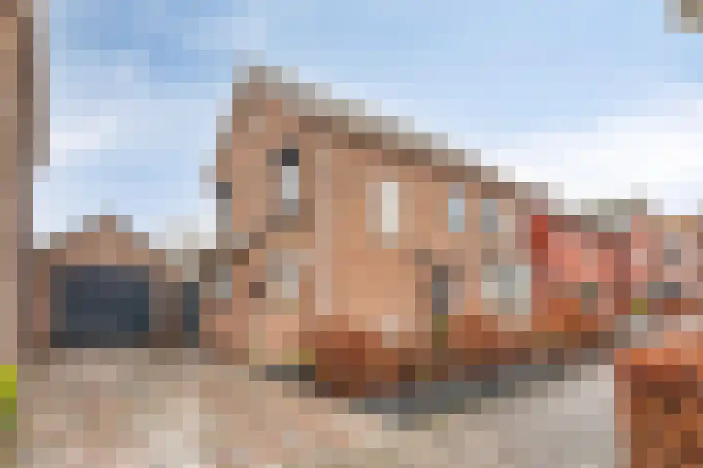 Julianastraat 20 Steenbergen thumbnail 4