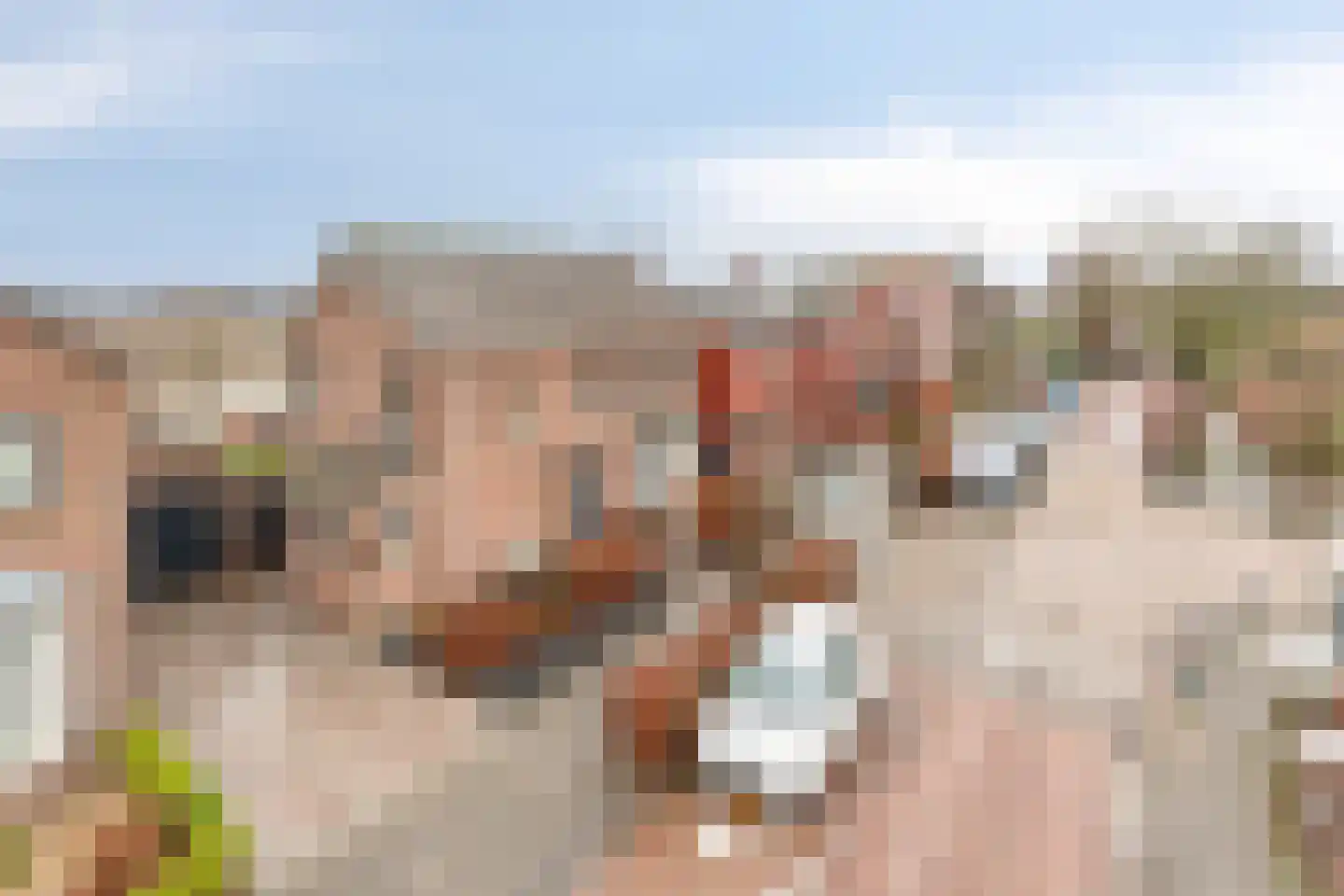 Julianastraat 20 Steenbergen thumbnail 49