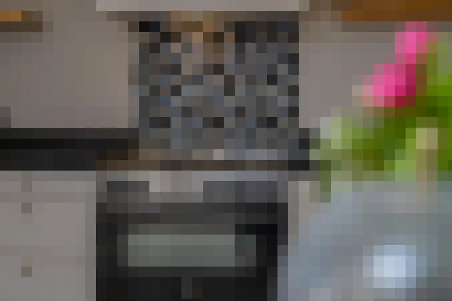 Julianastraat 21 Dreumel thumbnail 16