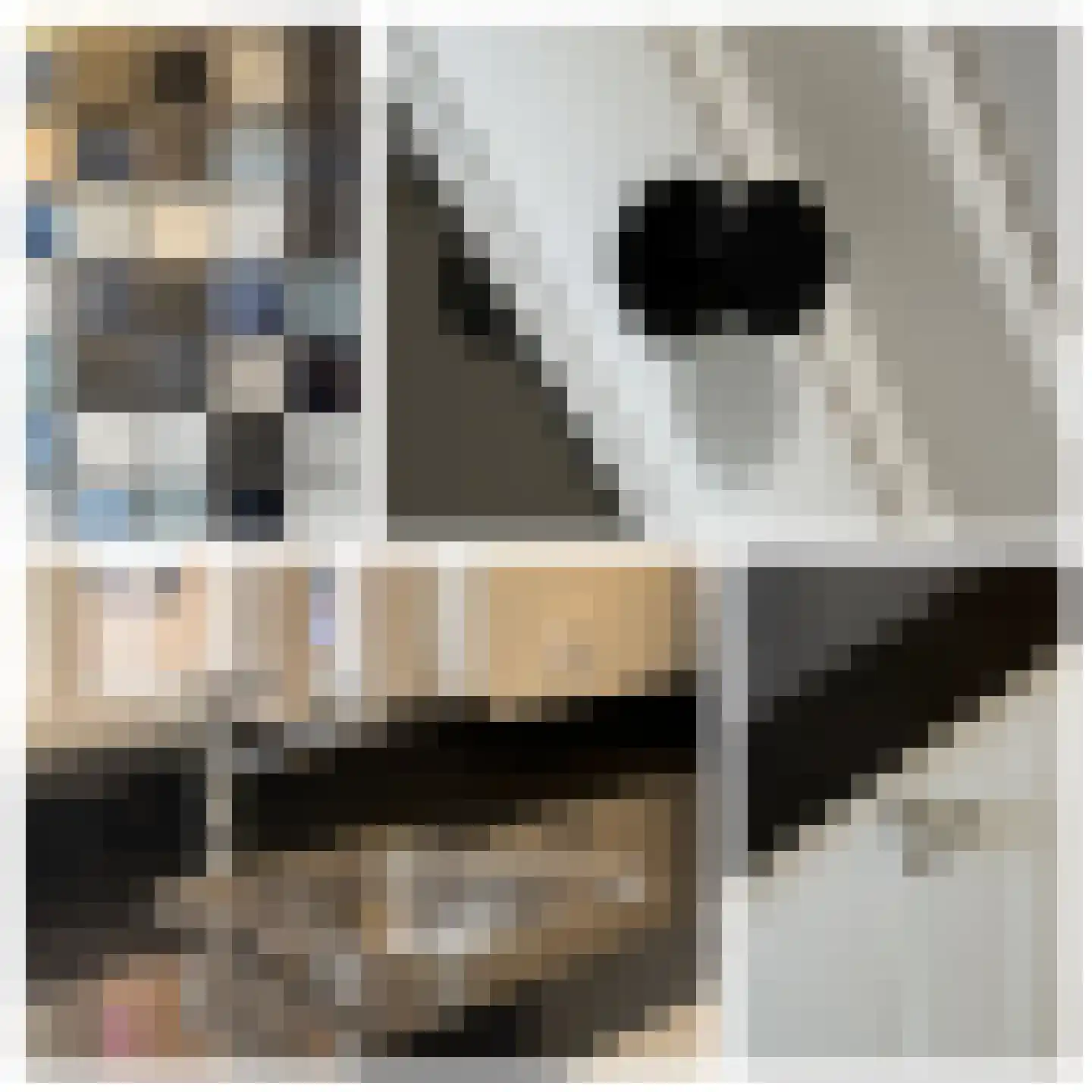 Julianastraat 21 Dreumel thumbnail 20
