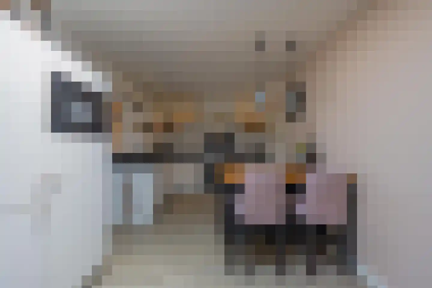 Julianastraat 21 Dreumel thumbnail 22