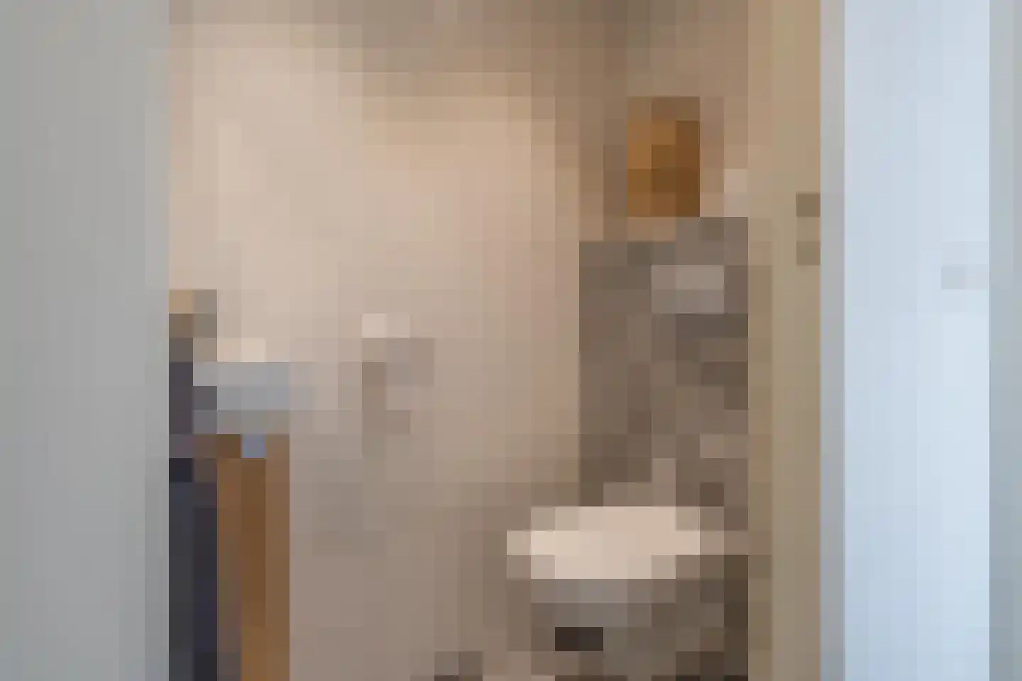 Julianastraat 21 Dreumel thumbnail 28