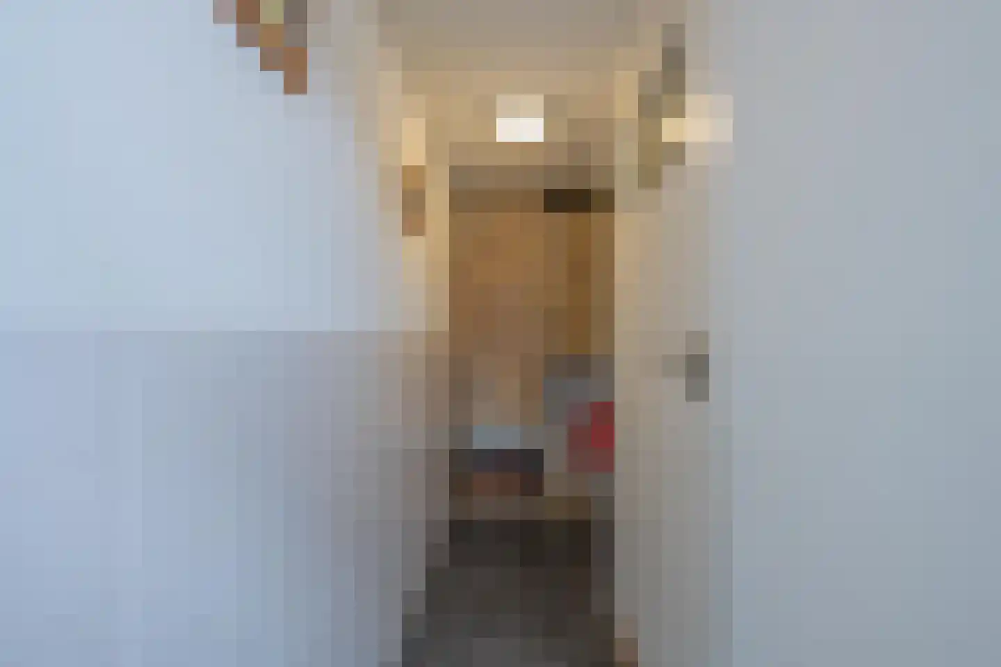 Julianastraat 21 Dreumel thumbnail 29