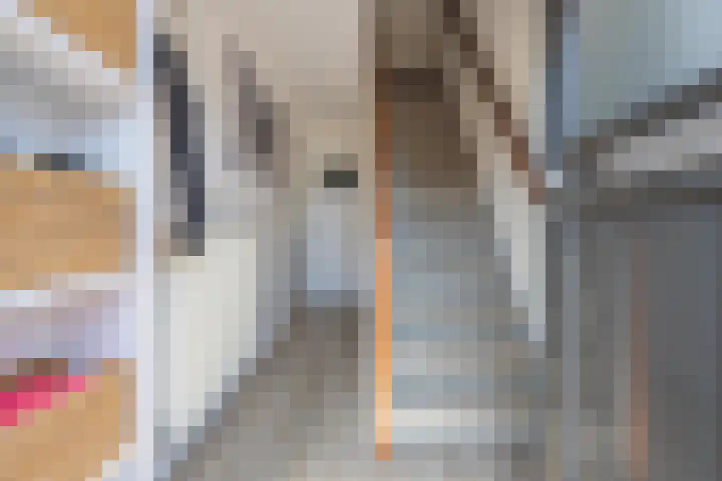 Julianastraat 21 Dreumel thumbnail 32