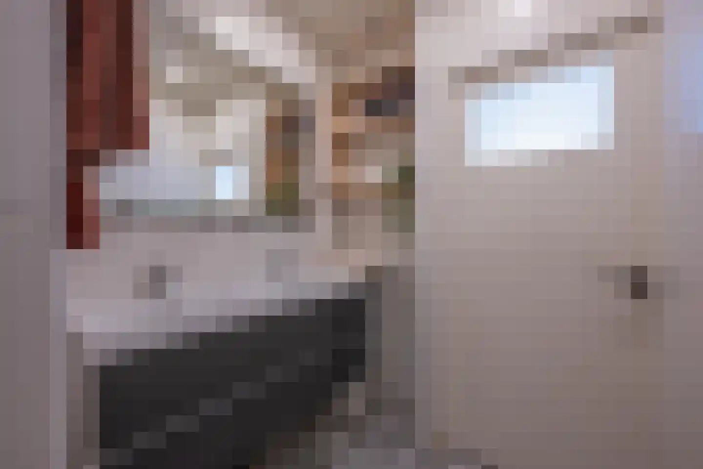 Julianastraat 21 Dreumel thumbnail 34