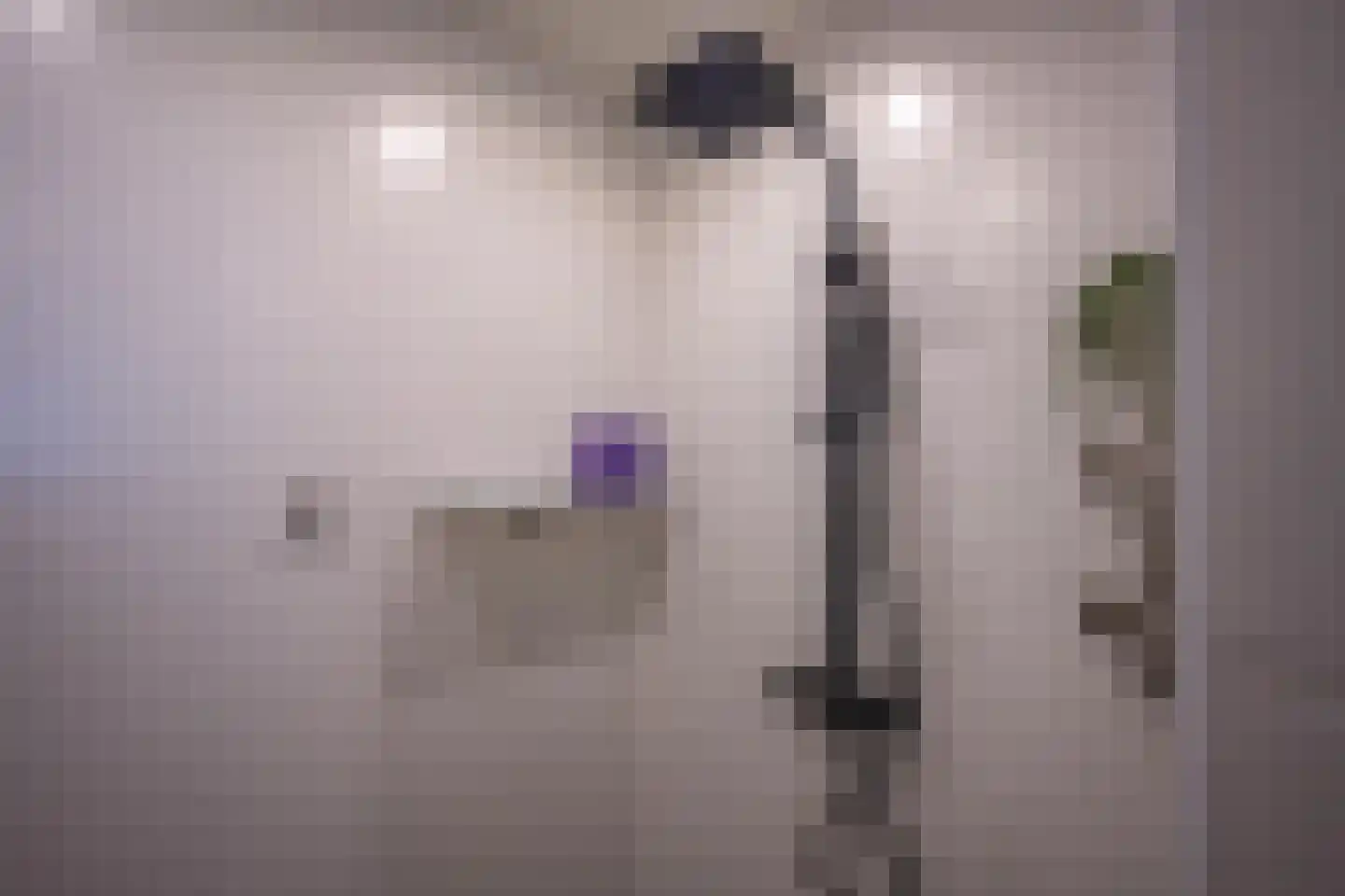 Julianastraat 21 Dreumel thumbnail 36
