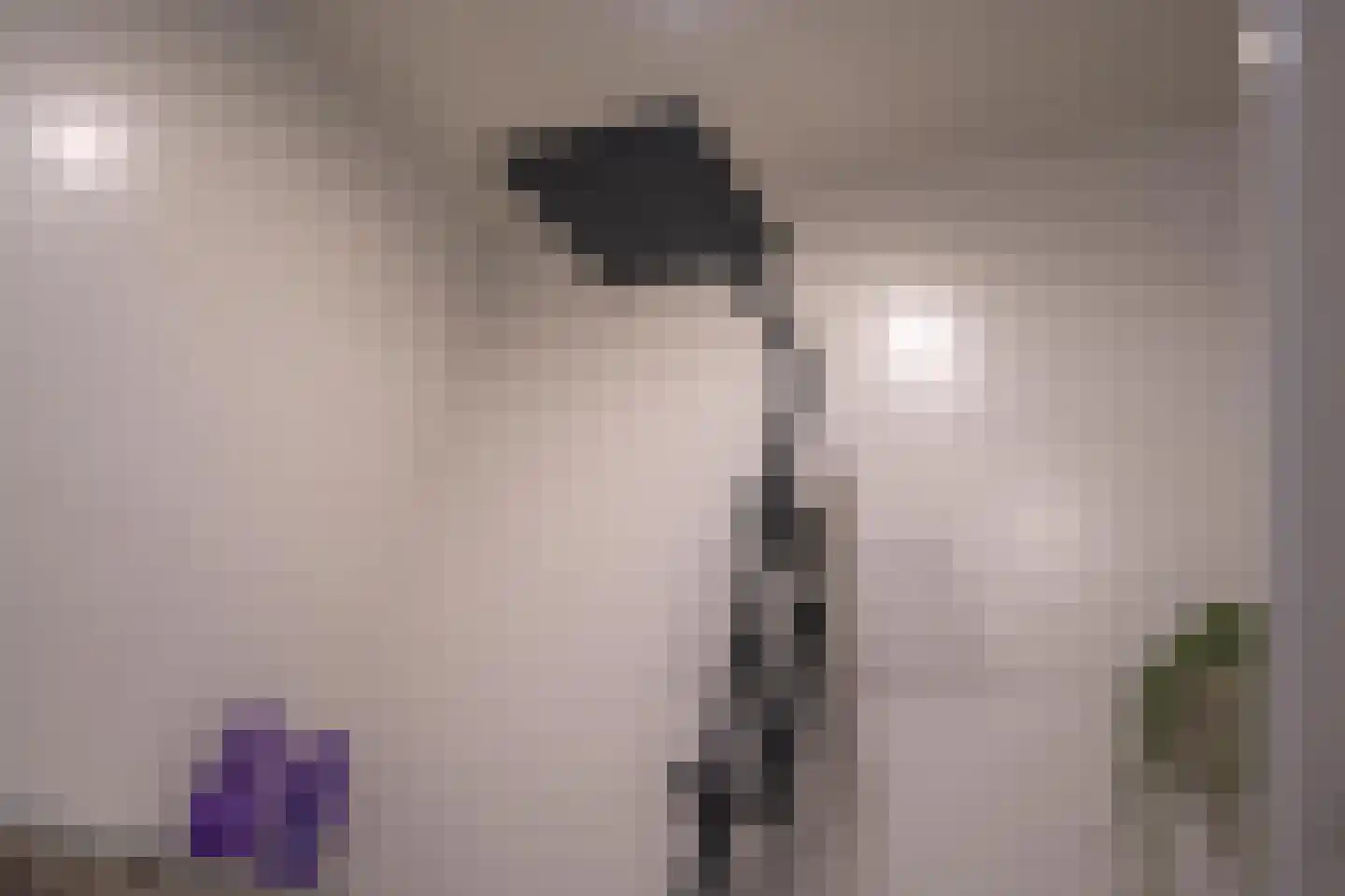 Julianastraat 21 Dreumel thumbnail 38