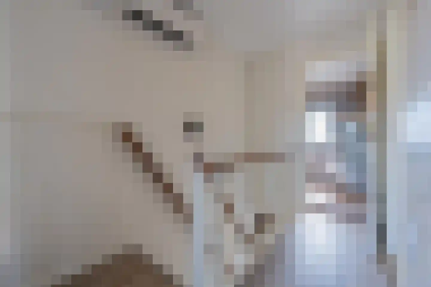Julianastraat 21 Dreumel thumbnail 39