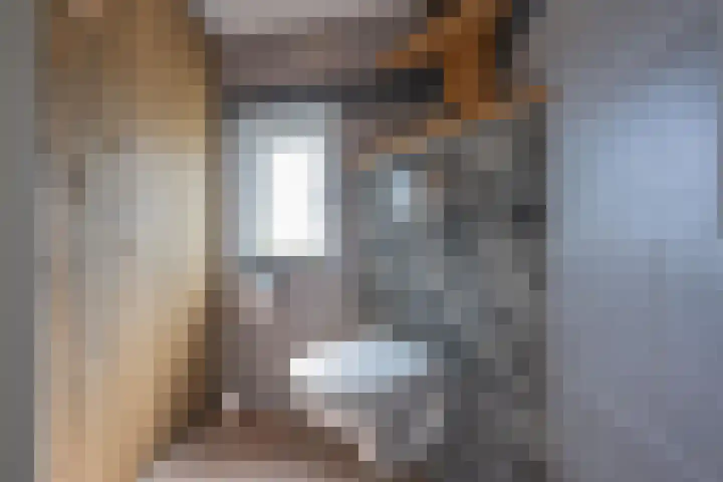 Julianastraat 21 Dreumel thumbnail 40