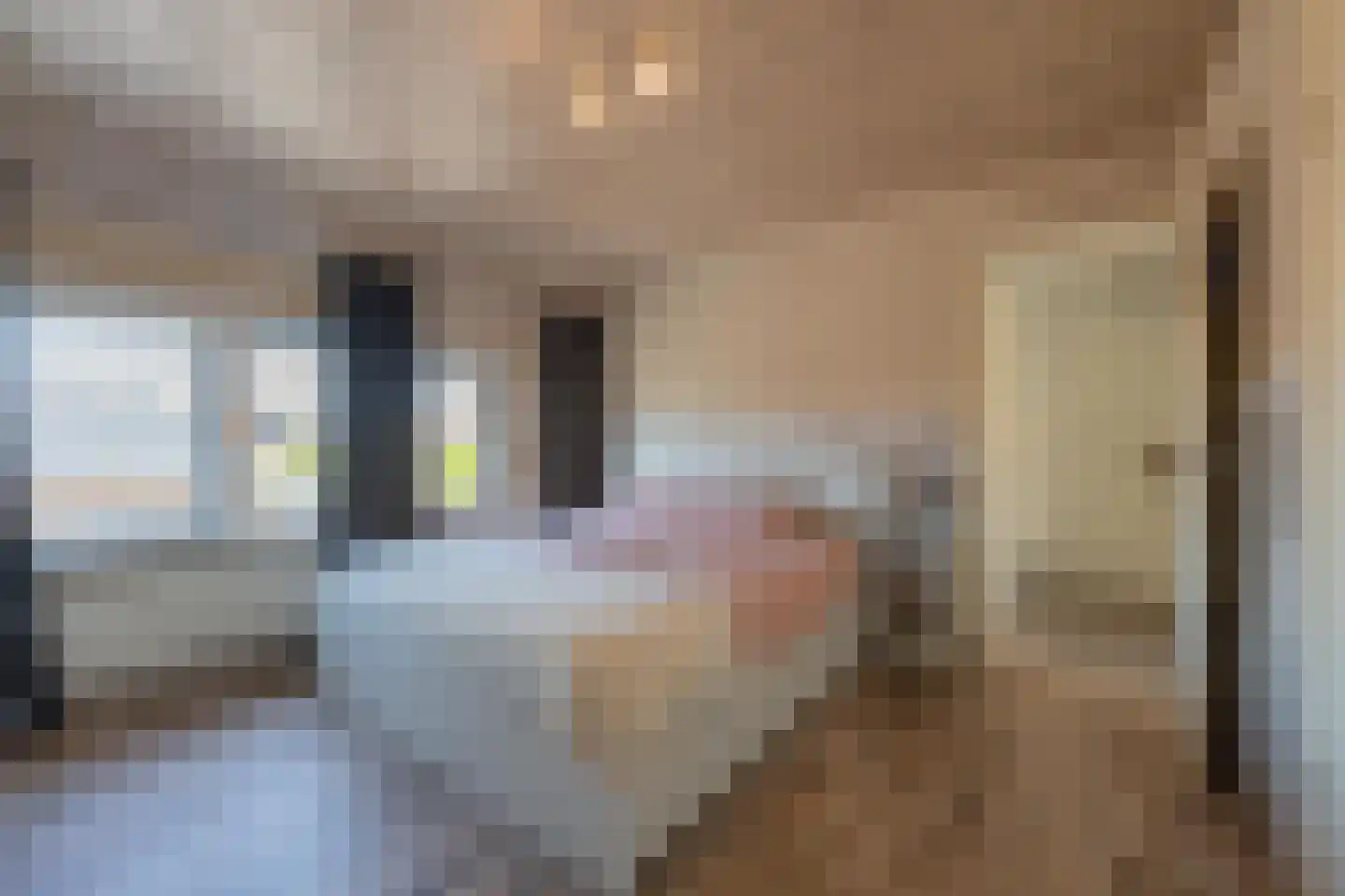 Julianastraat 21 Dreumel thumbnail 41
