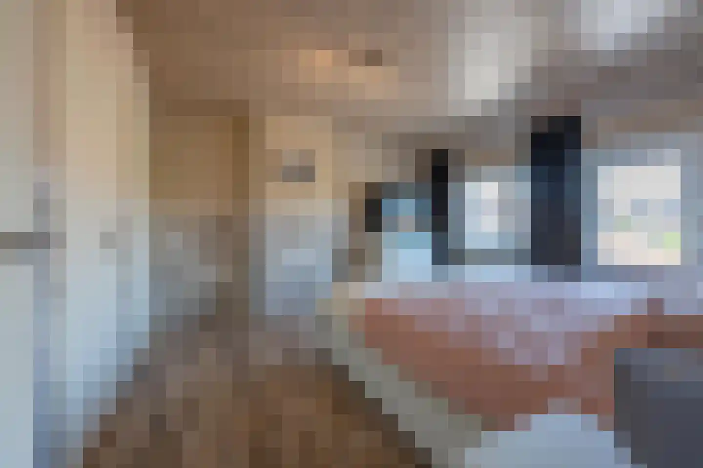 Julianastraat 21 Dreumel thumbnail 42