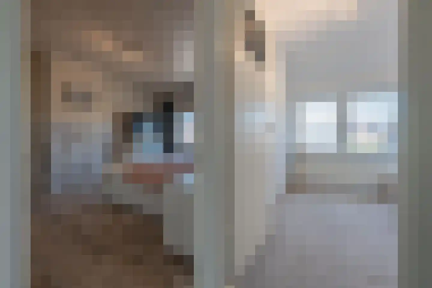 Julianastraat 21 Dreumel thumbnail 43