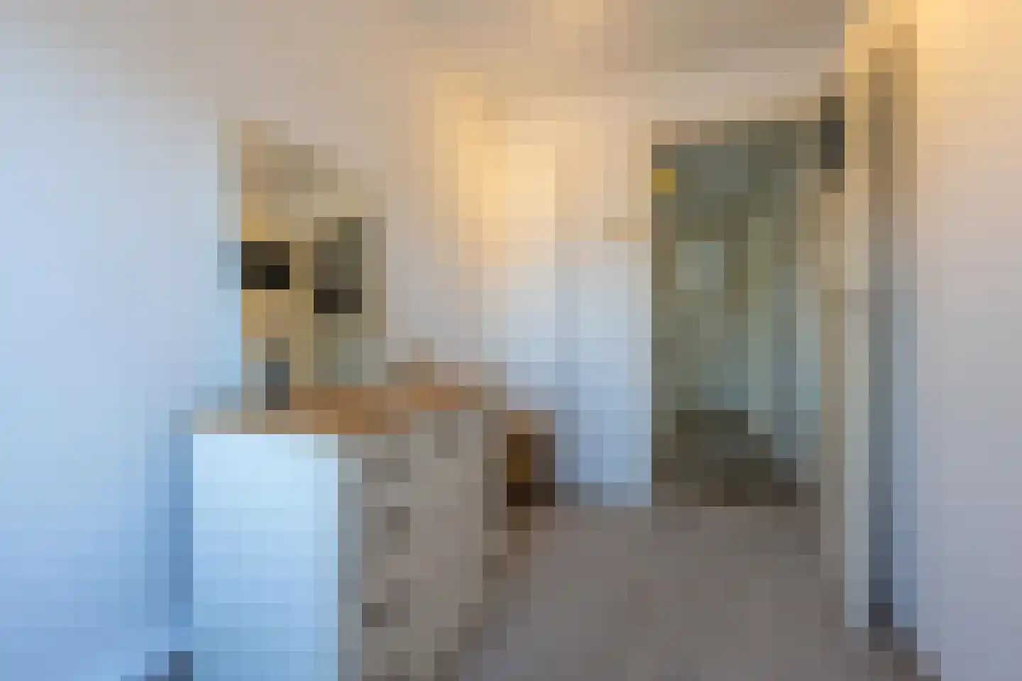 Julianastraat 21 Dreumel thumbnail 44