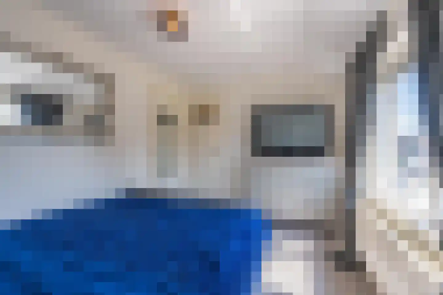 Julianastraat 21 Dreumel thumbnail 46