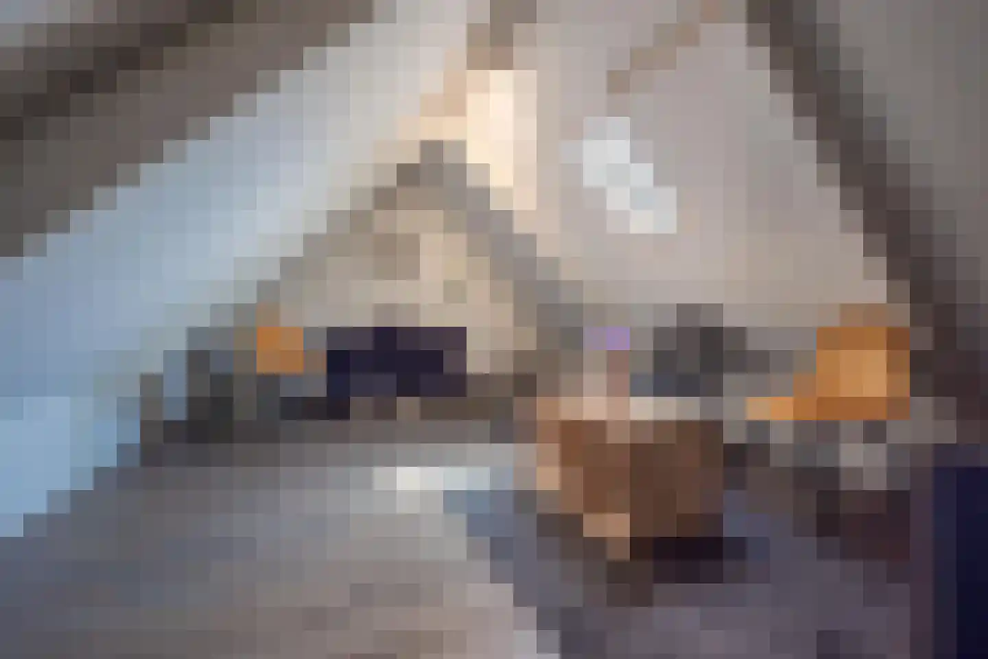 Julianastraat 21 Dreumel thumbnail 63