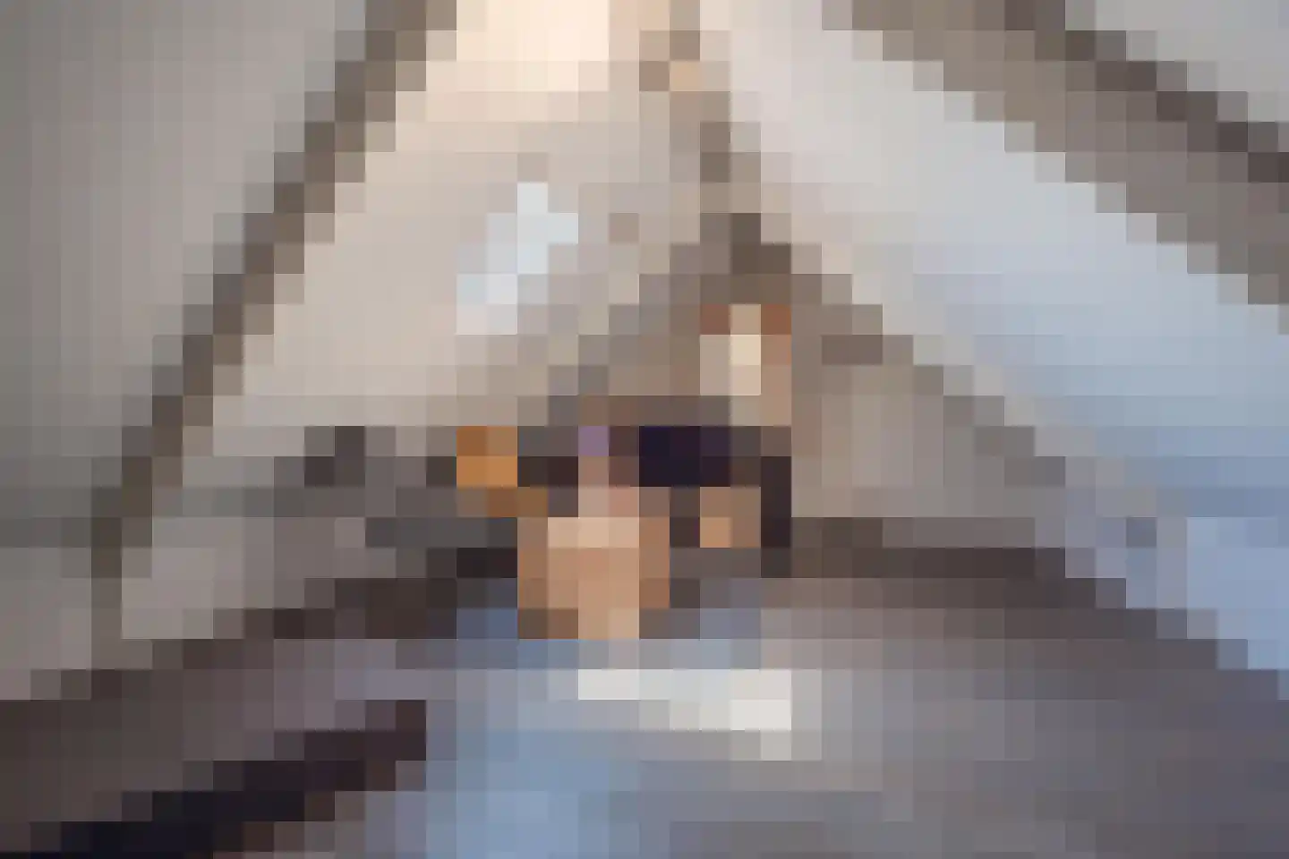 Julianastraat 21 Dreumel thumbnail 64
