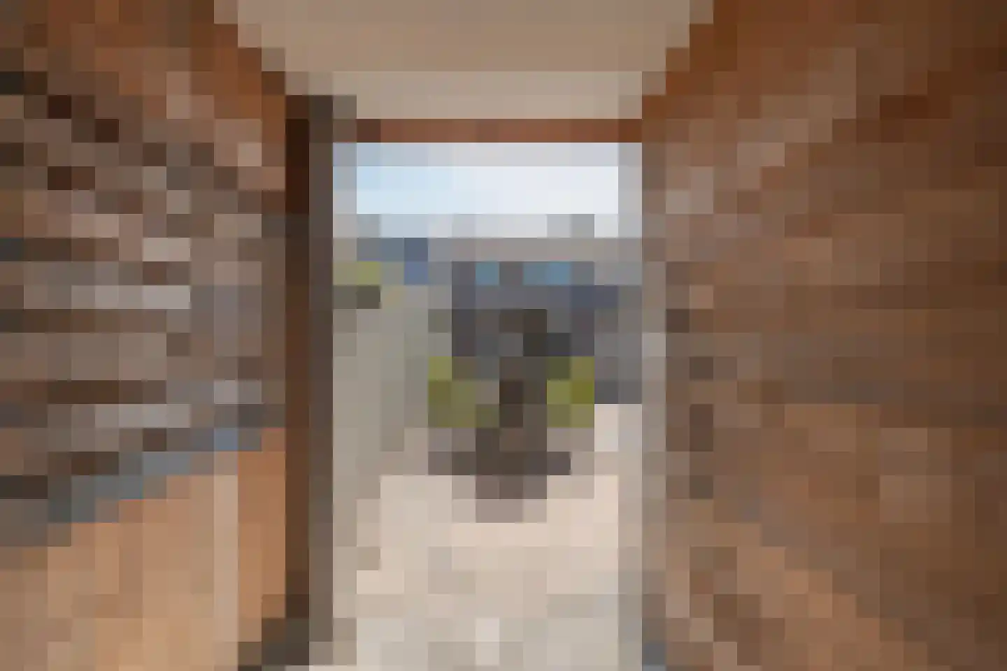 Julianastraat 21 Dreumel thumbnail 68
