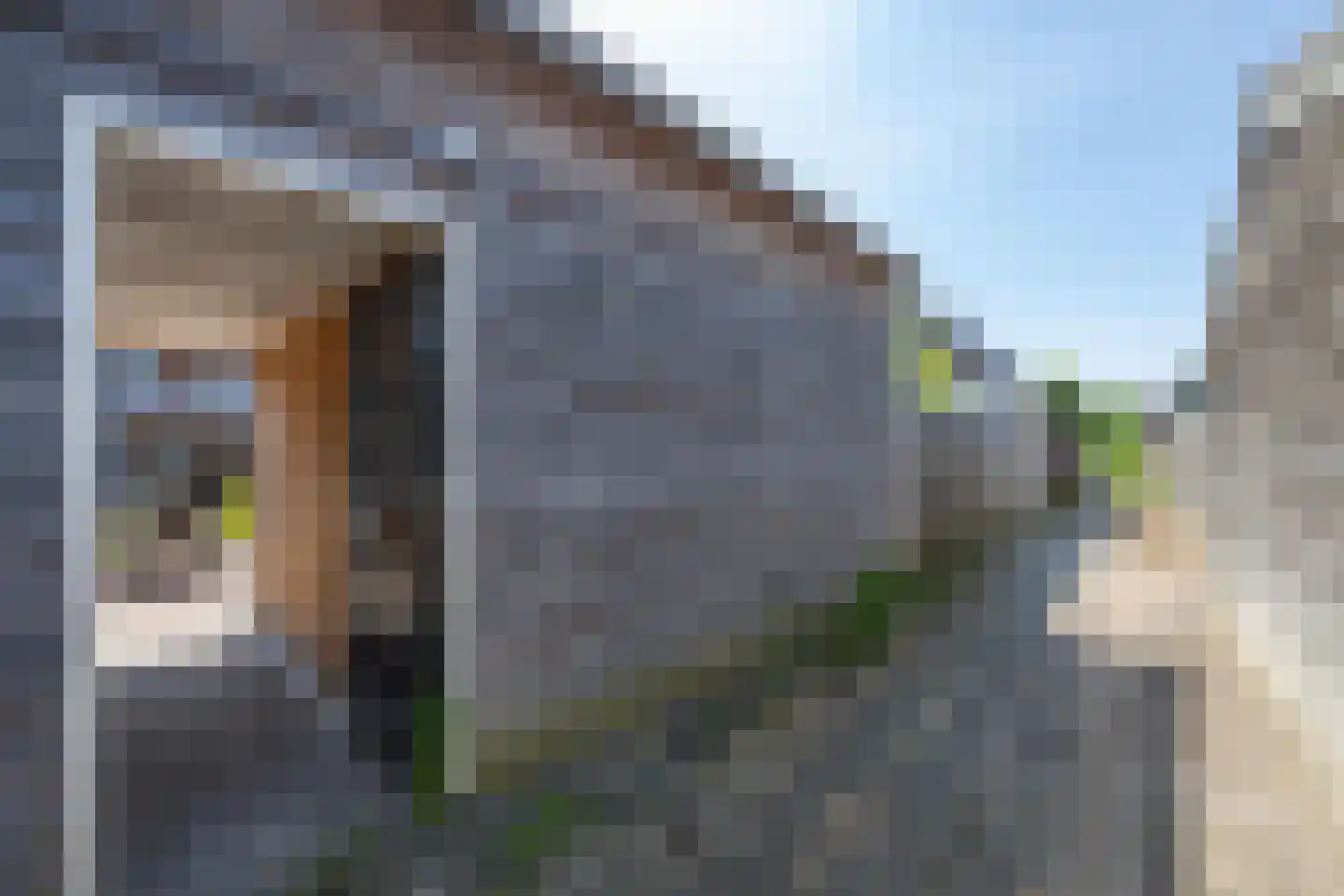 Julianastraat 21 Dreumel thumbnail 69