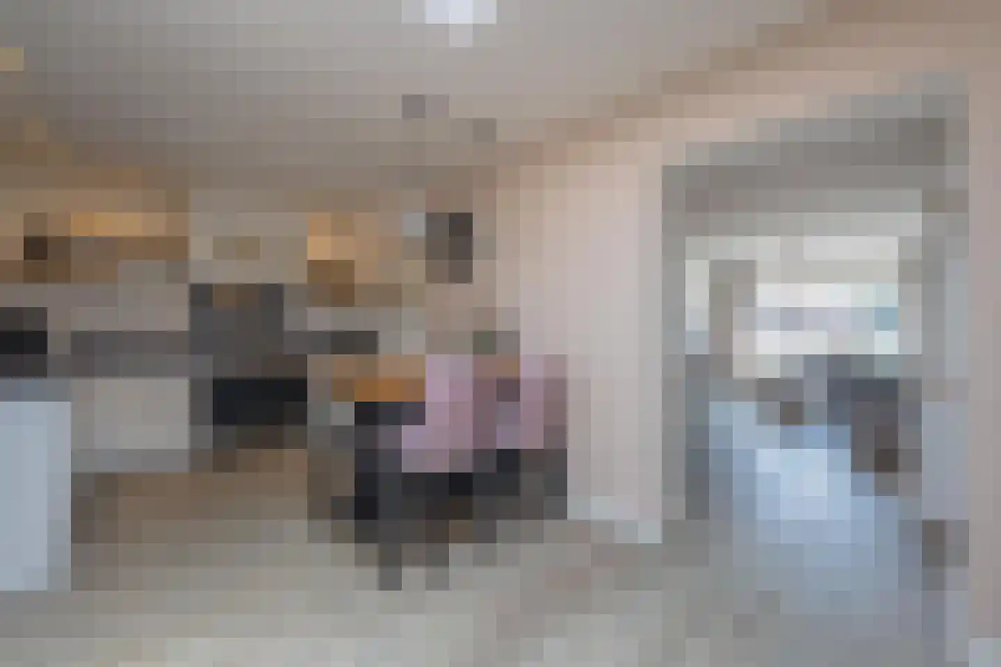Julianastraat 21 Dreumel thumbnail 7