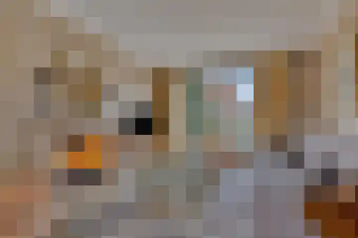 Julianastraat 21 Drunen thumbnail 12
