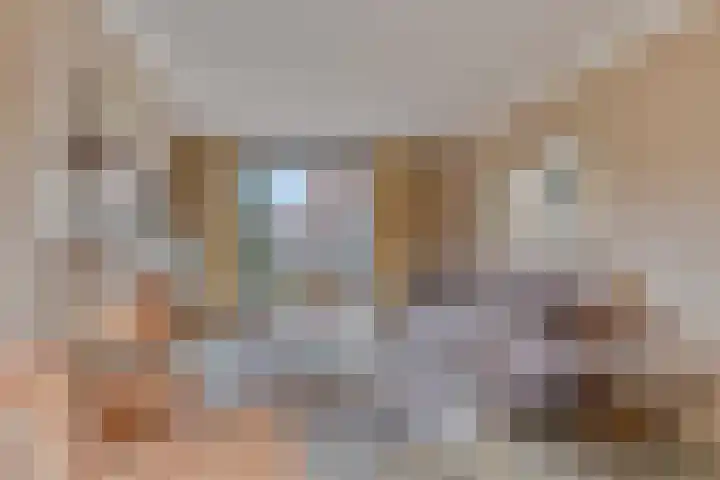 Julianastraat 21 Drunen thumbnail 13