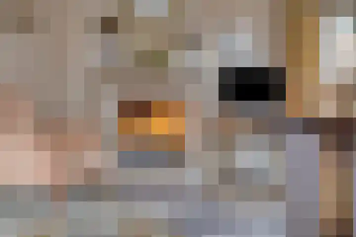 Julianastraat 21 Drunen thumbnail 14