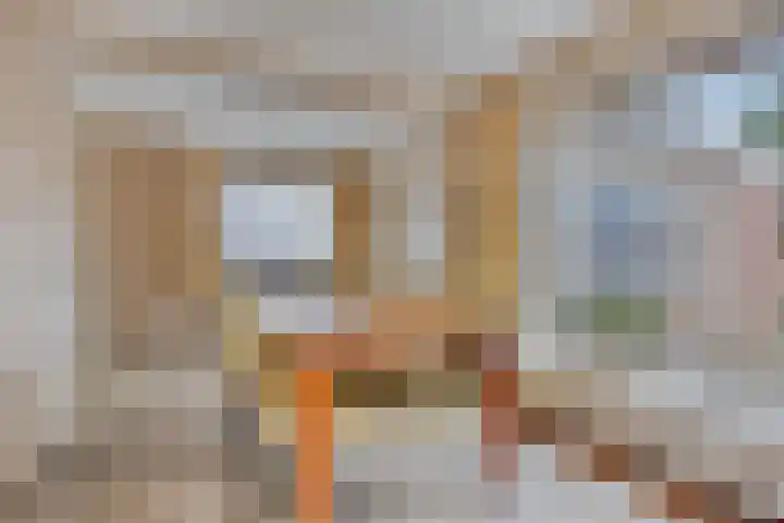 Julianastraat 21 Drunen thumbnail 16