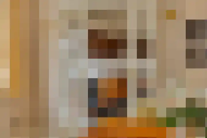 Julianastraat 21 Drunen thumbnail 18