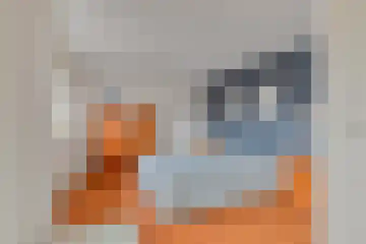 Julianastraat 21 Drunen thumbnail 25